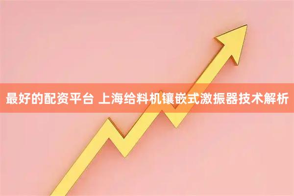 最好的配资平台 上海给料机镶嵌式激振器技术解析