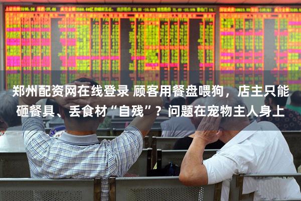 郑州配资网在线登录 顾客用餐盘喂狗，店主只能砸餐具、丢食材“自残”？问题在宠物主人身上