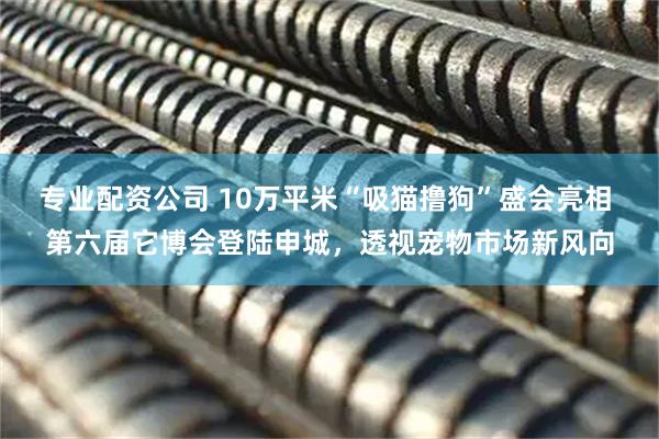 专业配资公司 10万平米“吸猫撸狗”盛会亮相 第六届它博会登陆申城，透视宠物市场新风向