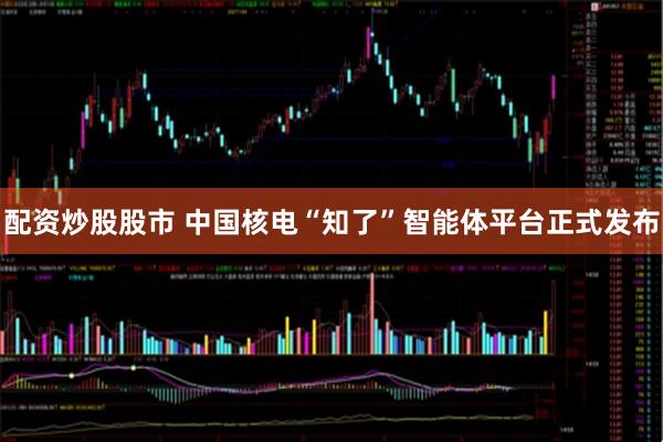 配资炒股股市 中国核电“知了”智能体平台正式发布